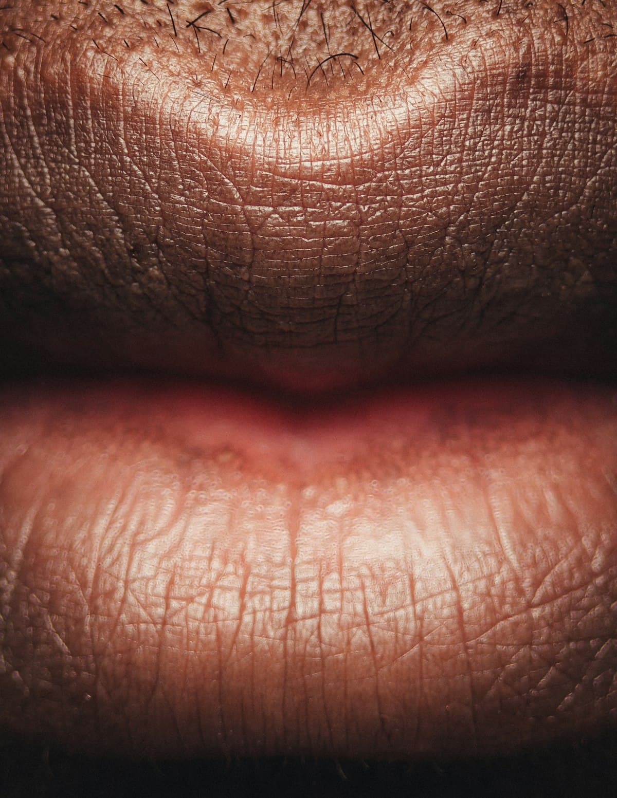 Nose & Mouth